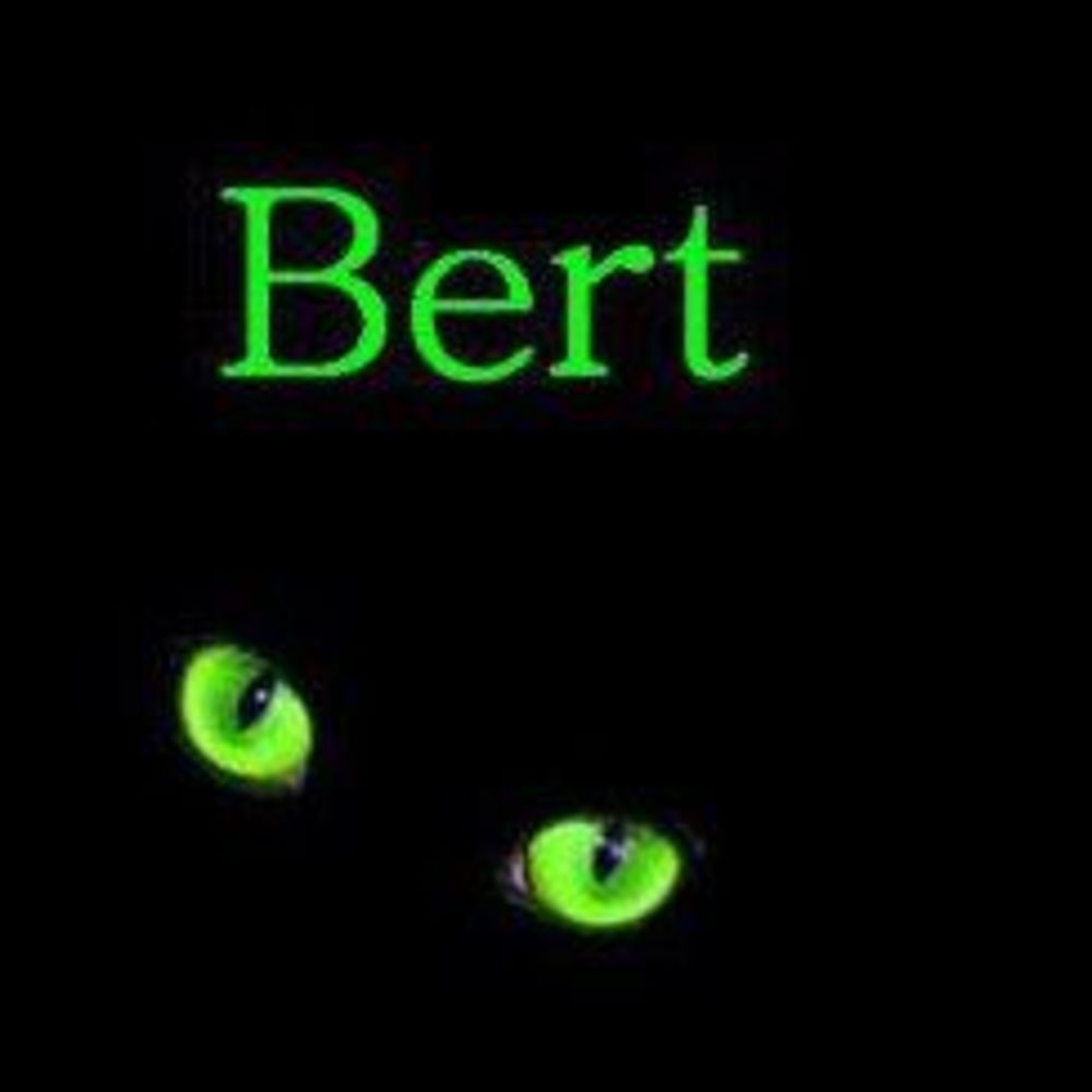 Meet your Posher, Roberta